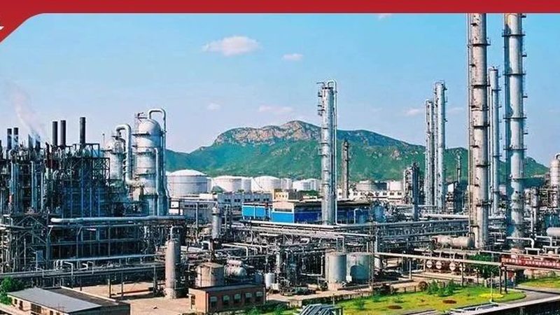 肉类防腐剂价格揭秘：如何选择性价比高的产品**