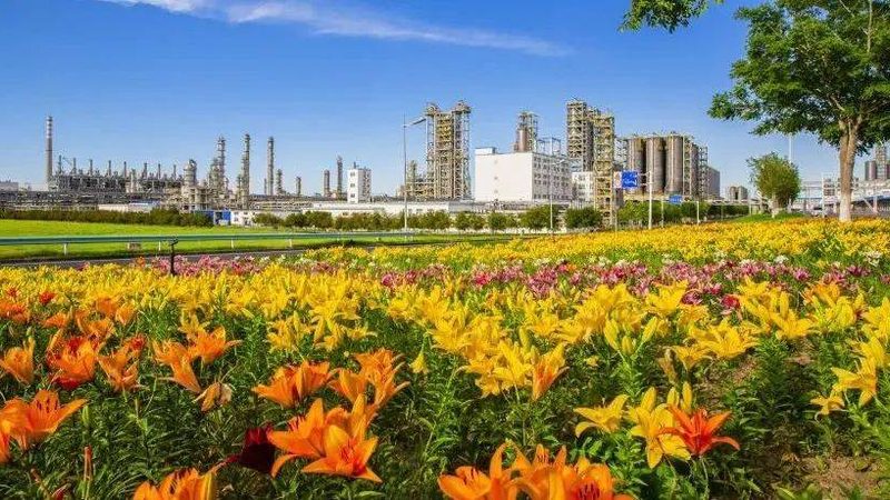 高分子材料批发报价单：揭秘行业定价逻辑**